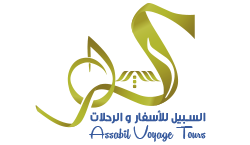 Agence web Tunisie